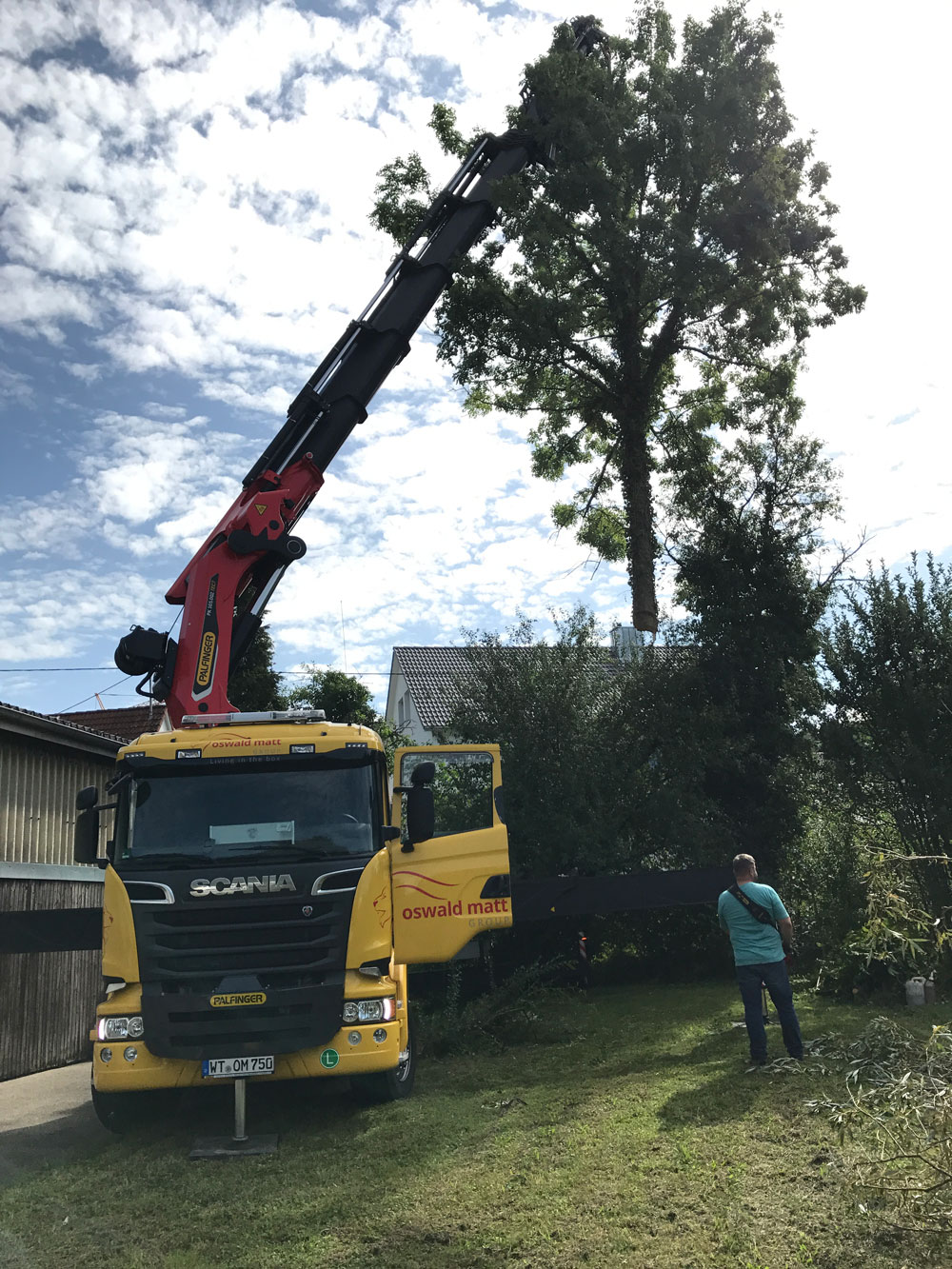 Baumfällung mit Kran